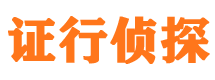 尖山市侦探公司